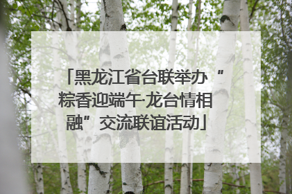 黑龙江省台联举办“粽香迎端午·龙台情相融”交流联谊活动