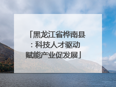 黑龙江省桦南县：科技人才驱动 赋能产业促发展