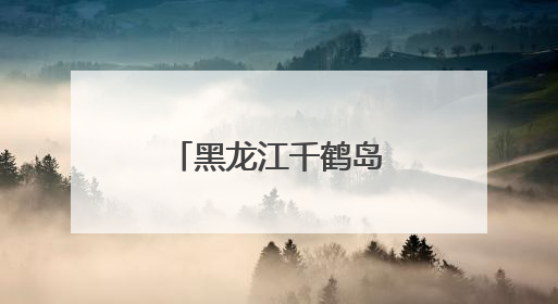 黑龙江千鹤岛首次发现自然界罕见白鸬鹚
