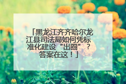 黑龙江齐齐哈尔龙江县司法局如何凭标准化建设“出圈”？答案在这！