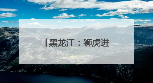 黑龙江：狮虎进入繁殖高峰期