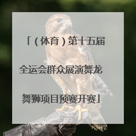 （体育）第十五届全运会群众展演舞龙舞狮项目预赛开赛