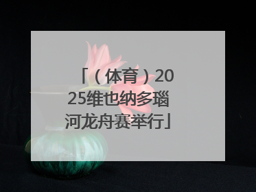 （体育）2025维也纳多瑙河龙舟赛举行