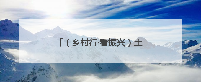 （乡村行·看振兴）土鸡坐上无人机 江西南康“空中快递员”助振兴