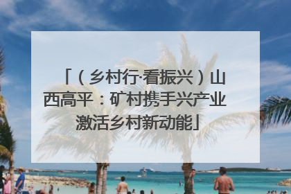 （乡村行·看振兴）山西高平：矿村携手兴产业 激活乡村新动能
