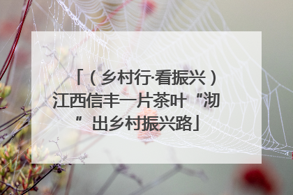 （乡村行·看振兴）江西信丰一片茶叶“沏”出乡村振兴路
