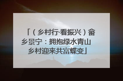 （乡村行·看振兴）畲乡景宁：拥抱绿水青山 乡村迎来共富蝶变