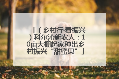 （乡村行·看振兴）科尔沁新农人：10亩大棚起家种出乡村振兴“甜蜜果”
