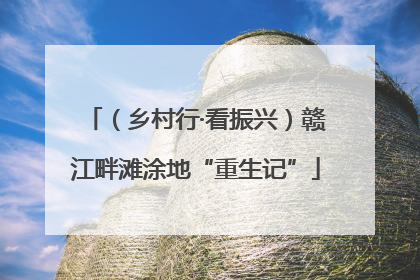 （乡村行·看振兴）赣江畔滩涂地“重生记”