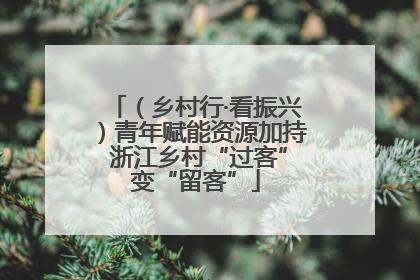 （乡村行·看振兴）青年赋能资源加持 浙江乡村“过客”变“留客”