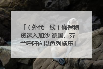 （外代一线）确保物资运入加沙 德国、芬兰呼吁向以色列施压