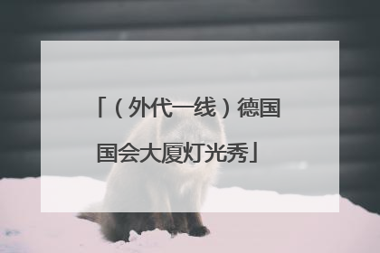 （外代一线）德国国会大厦灯光秀