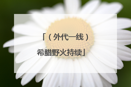 （外代一线）希腊野火持续