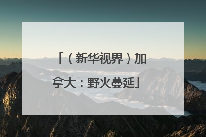 （新华视界）加拿大：野火蔓延