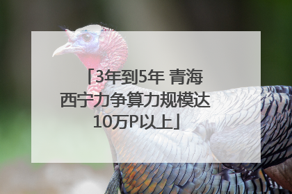 3年到5年 青海西宁力争算力规模达10万P以上