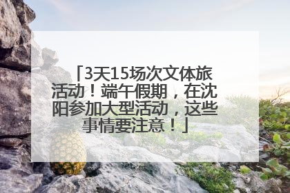 3天15场次文体旅活动！端午假期，在沈阳参加大型活动，这些事情要注意！