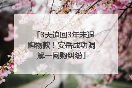3天追回3年未退购物款！安岳成功调解一网购纠纷