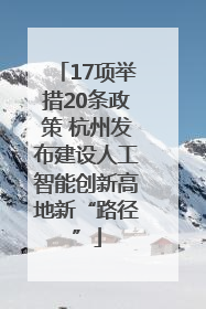 17项举措20条政策 杭州发布建设人工智能创新高地新“路径”
