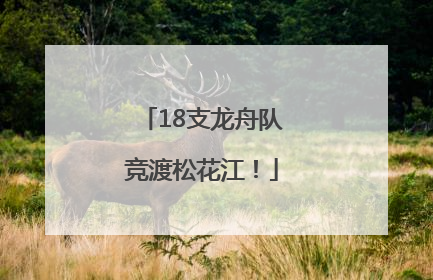 18支龙舟队竞渡松花江！