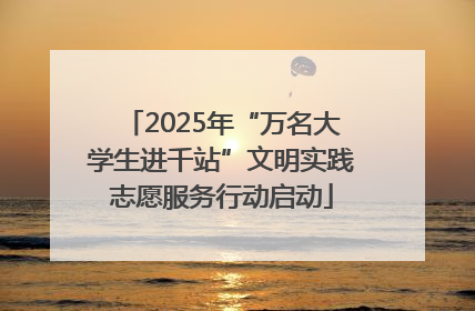 2025年“万名大学生进千站”文明实践志愿服务行动启动