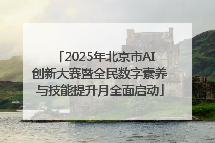 2025年北京市AI创新大赛暨全民数字素养与技能提升月全面启动