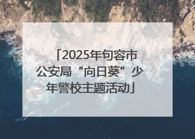 2025年句容市公安局“向日葵”少年警校主题活动