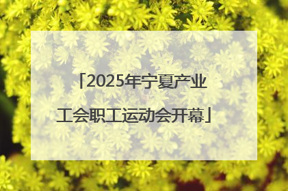 2025年宁夏产业工会职工运动会开幕