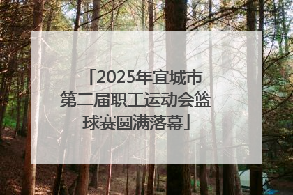2025年宜城市第二届职工运动会篮球赛圆满落幕