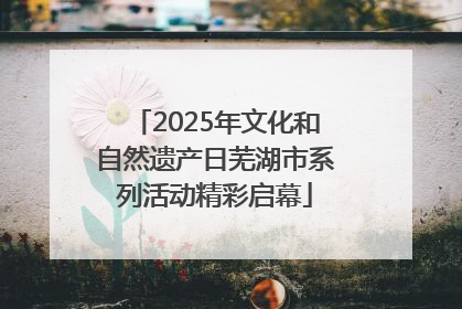 2025年文化和自然遗产日芜湖市系列活动精彩启幕