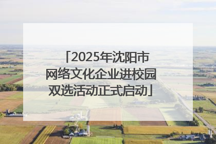 2025年沈阳市网络文化企业进校园双选活动正式启动