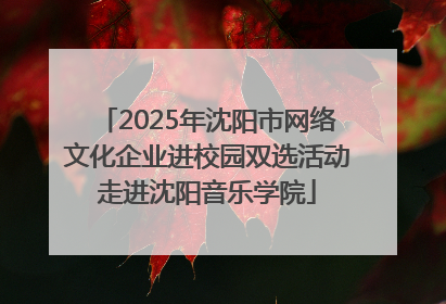 2025年沈阳市网络文化企业进校园双选活动走进沈阳音乐学院