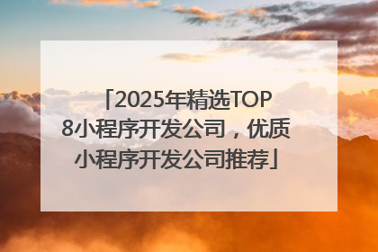 2025年精选TOP8小程序开发公司，优质小程序开发公司推荐