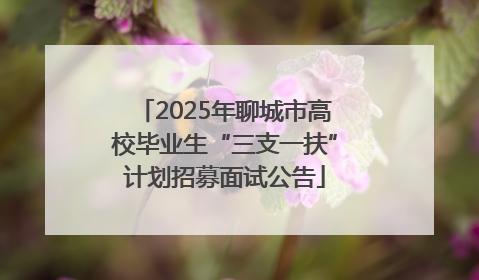 2025年聊城市高校毕业生“三支一扶”计划招募面试公告