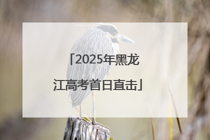 2025年黑龙江高考首日直击