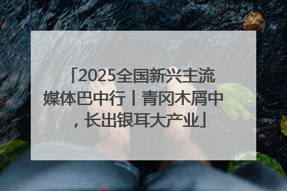 2025全国新兴主流媒体巴中行丨青冈木屑中，长出银耳大产业