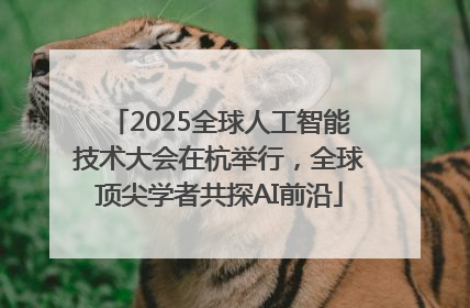 2025全球人工智能技术大会在杭举行，全球顶尖学者共探AI前沿