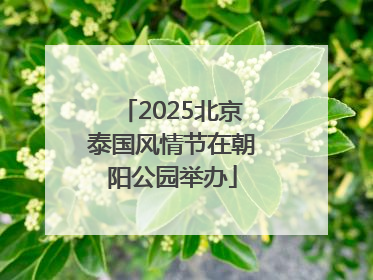 2025北京泰国风情节在朝阳公园举办