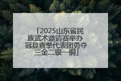2025山东省民族武术邀请赛举办 冠县查拳代表团勇夺三金二银一铜