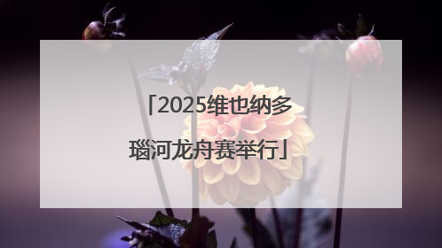 2025维也纳多瑙河龙舟赛举行