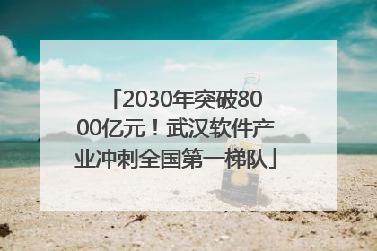 2030年突破8000亿元！武汉软件产业冲刺全国第一梯队