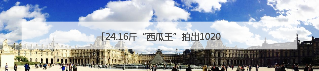 24.16斤“西瓜王”拍出10200元高价！活动方称将注入助学基金
