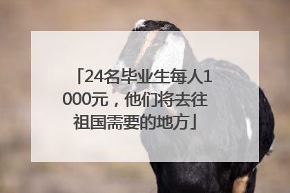 24名毕业生每人1000元，他们将去往祖国需要的地方