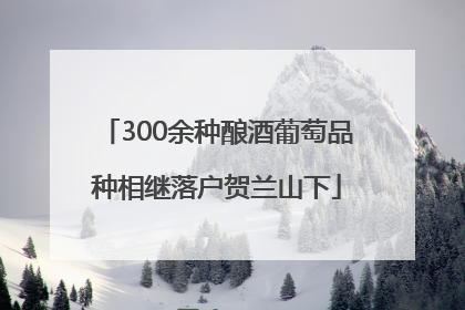 300余种酿酒葡萄品种相继落户贺兰山下