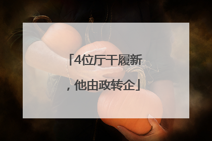 4位厅干履新，他由政转企