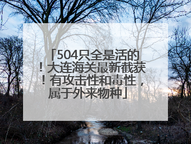 504只全是活的！大连海关最新截获！有攻击性和毒性，属于外来物种