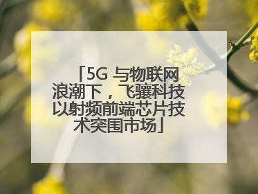 5G 与物联网浪潮下，飞骧科技以射频前端芯片技术突围市场