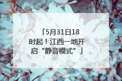 5月31日18时起！江西一地开启“静音模式”