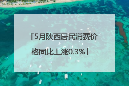 5月陕西居民消费价格同比上涨0.3%