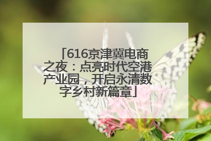 616京津冀电商之夜：点亮时代空港产业园，开启永清数字乡村新篇章