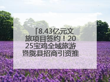 8.43亿元文旅项目签约！2025宝鸡全域旅游暨陇县招商引资推介会在西安举办